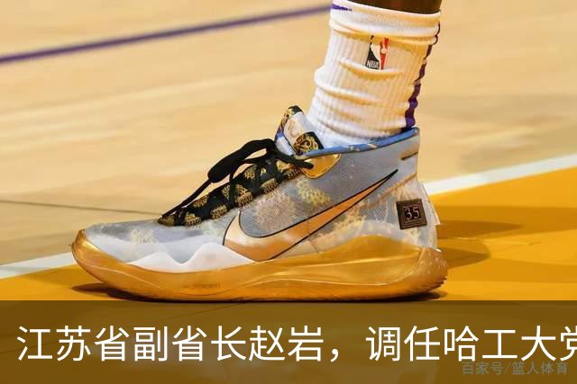 江苏省副省长赵岩，调任哈工大党委书记